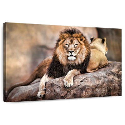 Brampt King Of The Lions