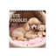 Calendrier pliable 2027 Year