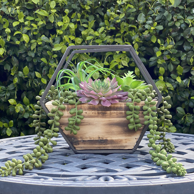 Plante grasse artificielle dans un panier