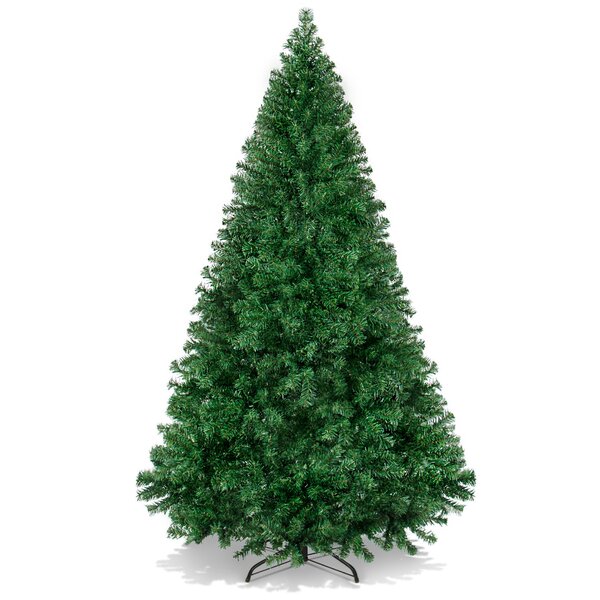 Silver Fir Christmas Tree - EverGreen - Boston Fresh Fish