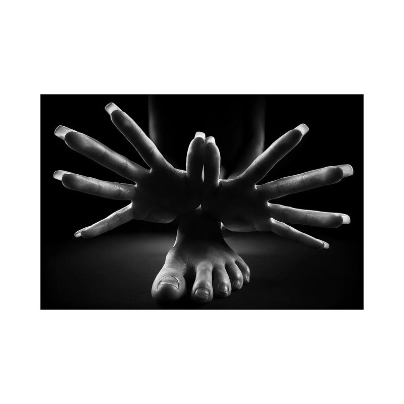 «Figurative Body Pièces II» par Johan Swanepoel - photographie sur toile tendue, H 18 po x l 26 po x P 1,5 po