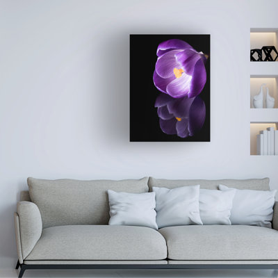 Contemporary