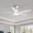 48 In Intergrated LED Ceiling Fan with White ABS Blade