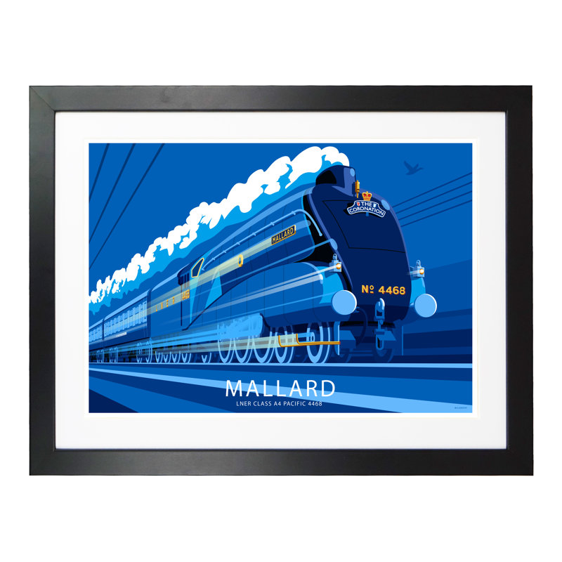 Mallard by Stephen Millership - Print, 33.5cm H x 43.5cm W x 2.2cm D, Black