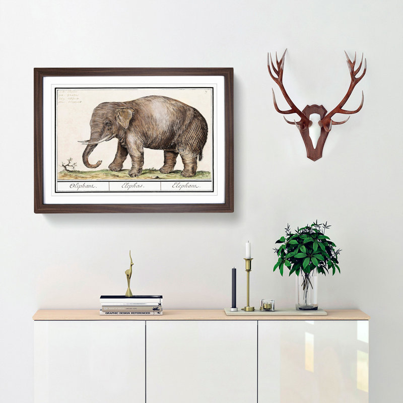 Asian Elephant by A.B. De Boodt - Picture Frame Painting Print, Walnut Framed, 27cm H x 36cm W x 2cm D
