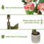 Ficus artificiel 7 'de haut avec fleurs roses réalistes-1944773901