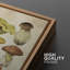 Abstrait botanique champignon rustique, œuvre d'art de cuisine rétro encadrée sur toile 2 pièces, art mural-91069351-91069352