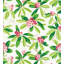 RHODODENDRON - OUTDOOR-283187210
