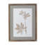Framed Botanical Print