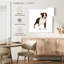 Crowle Baby Boston Terrier