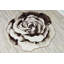 Tapis botanique effet rose Viers Flowers-984651087