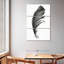 Plume noire-947846784
