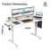 Buchholtz 120cm W Board Height Adjustable Rectangle Standing Desk