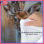 Édredon Group of Deer Illustration-123334620