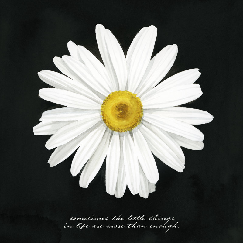 Delicate Daisy I by Grace Popp - Wrapped Canvas Print, 91cm H x 91cm W x 3.8cm D