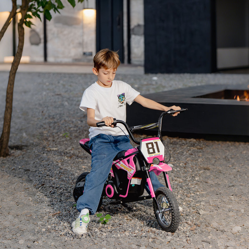 Ivy Bronx Battery Powered Ride On, Pink