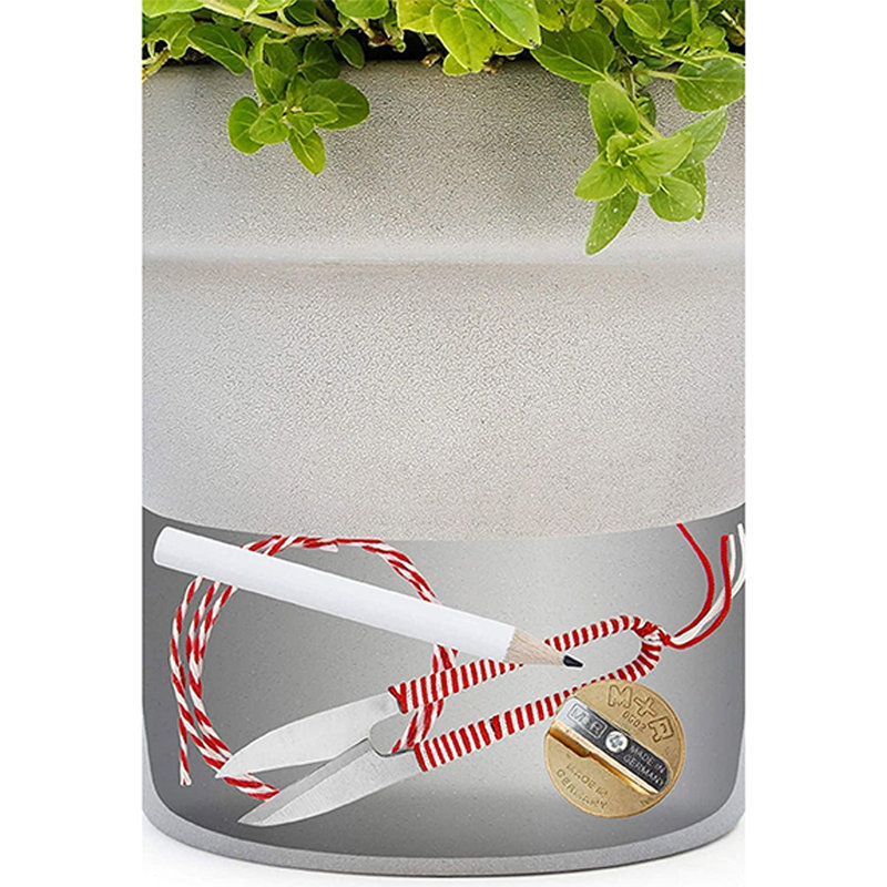Ceramic Pot Planter