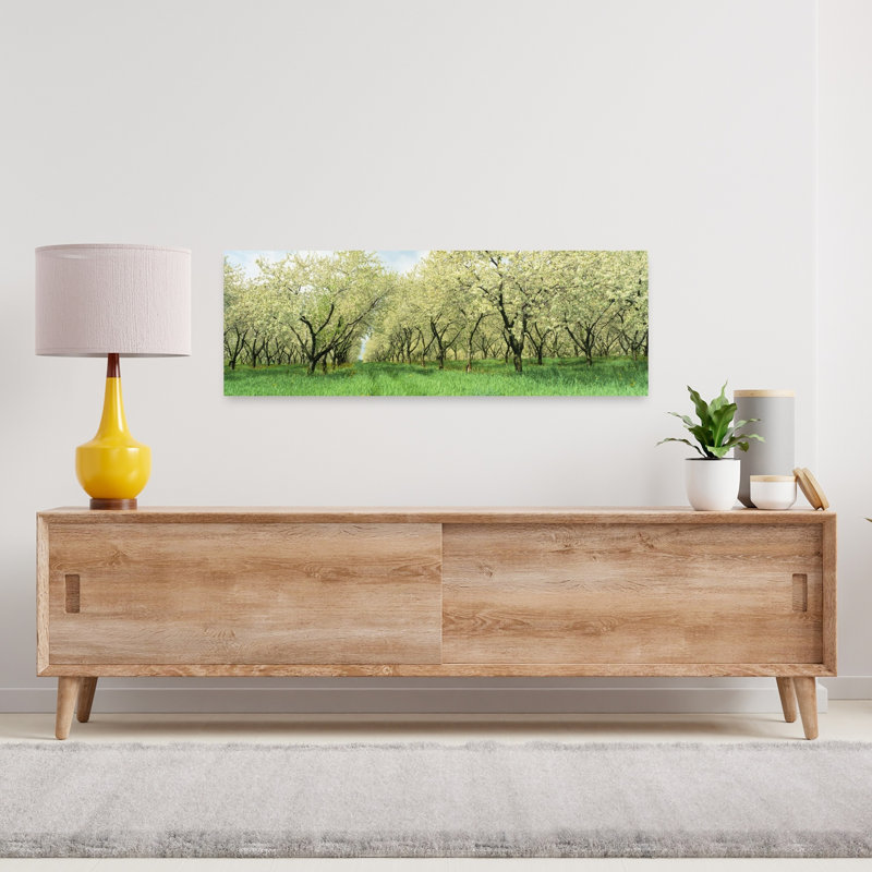 Rows Of Cherry Tress In An Orchard Minnesota USA 1 Piece Wrapped Canvas Panoramic Wall Art, 30.48 cm H x 91.44 cm W