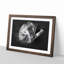 Koala Bear Resting in a Tree - Picture Frame Painting Print-56842237-56842240