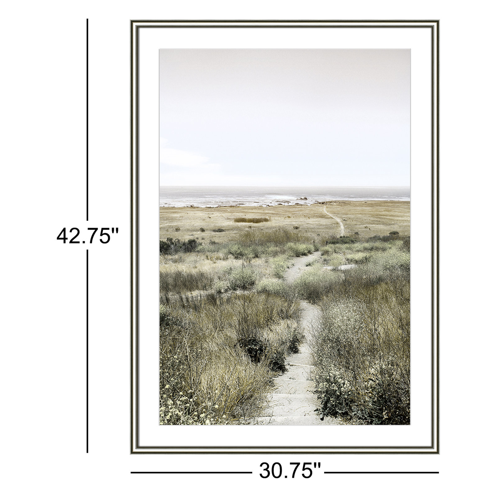 Footpath to Paradise by Danita Delimont - Picture Frame Photograph, 30.75 W x 42.75 H x 0.88 D, Silver