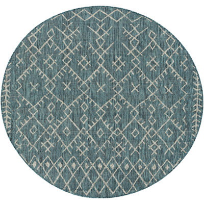 Hongming Oriental Indoor / Outdoor Rug