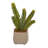 6'' Faux Succulent Plant in Ceramic Planter
