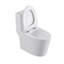Toilettes allongées à fixation au sol 1,6 gallons GPF Rainlex (siège inclus) Rainlex-100078672