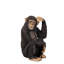 Statue de singe chimpanzé assis en taille réelle