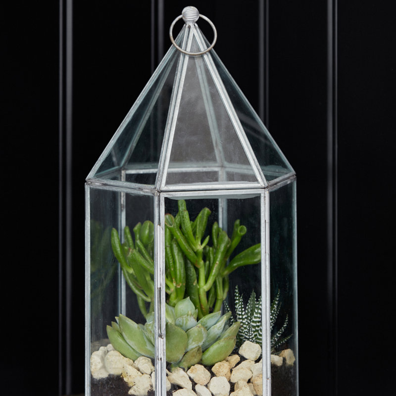 Terrarium