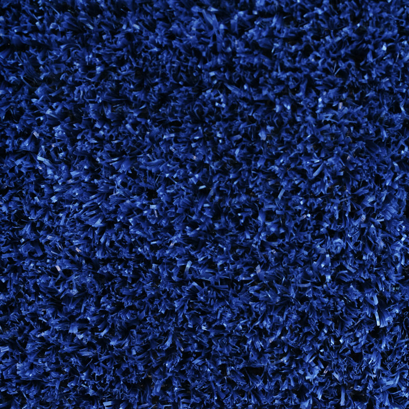 Poindexter Solid Color Machine Tufted Polypropylene Indoor / Outdoor in Blue, Rectangle 6' x 10'