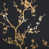 Black/Gold selected