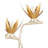 Paradiso Novelty Lamp