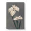 White Iris Flower by Kazumasa Ogawa - Wrapped Canvas-55305346