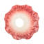 Lamp Shade-559056521-559056526