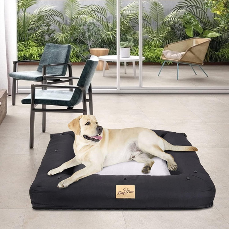 Pet Bed, 10cm H x 85cm W x 60cm D