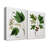 " Mountain Maple " 2 - Pieces-182103264-182450877-182450878