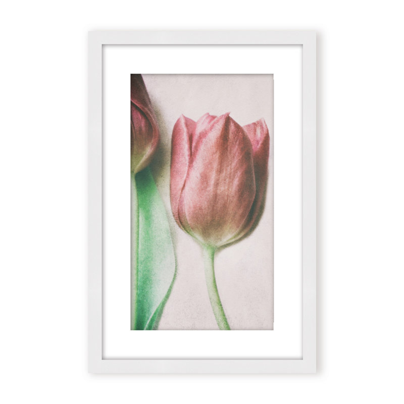 Nature Inspired The Spring Lovers by  - Picture Frame Graphic Art on Paper, Framed Canvas, 48" H x 32" W x 2.375" D, White
