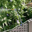 Jardinière en plastique brun 3 pièces vidaXL