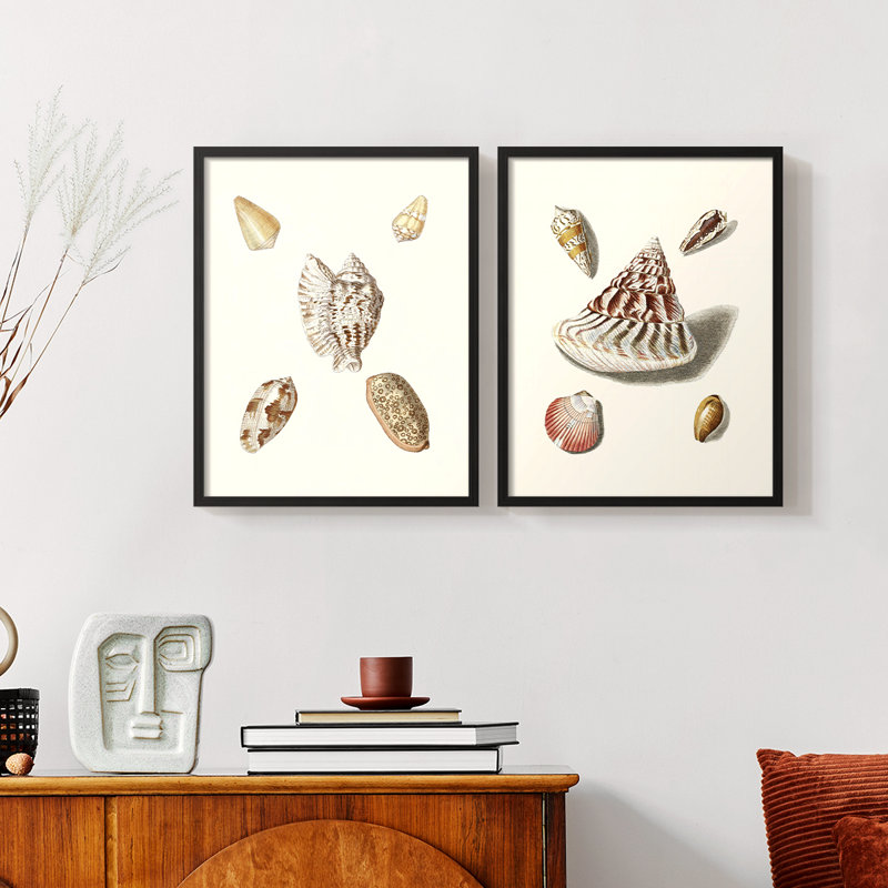 Pastel Knorr Shells VI - reproduction encadrée de qualité supérieure - prête à être accrochée - aucun clou requis - aucun clou requis