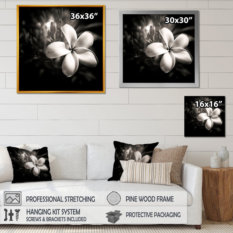 Spectrum Wild Moonlight Plumeria Beauty sur toile, H 16 po x l 16 po x P 1 po, Toile tendue