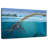 Brampt Elasmosaurus-108127450