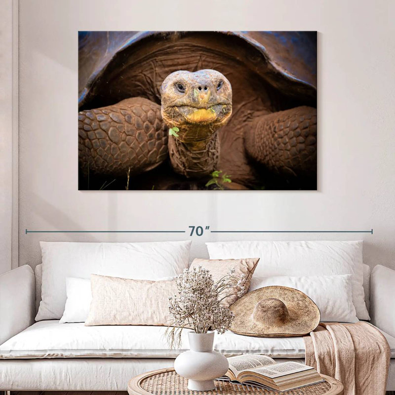 Tortue Brampt Galapagos, H 32 po x l 48 po