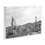 Art mural Sonoran Desert Wonderland par Nathan Larson-45714491