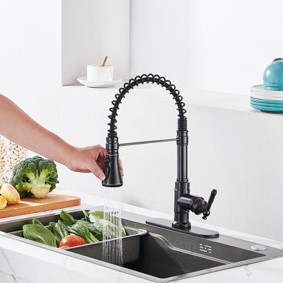 Robinet de cuisine rétractable à poignée simple avec plaque de pont