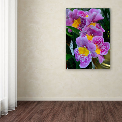 « happy orchidées » par kurt shaffer, reproduction de photo sur toile tendue