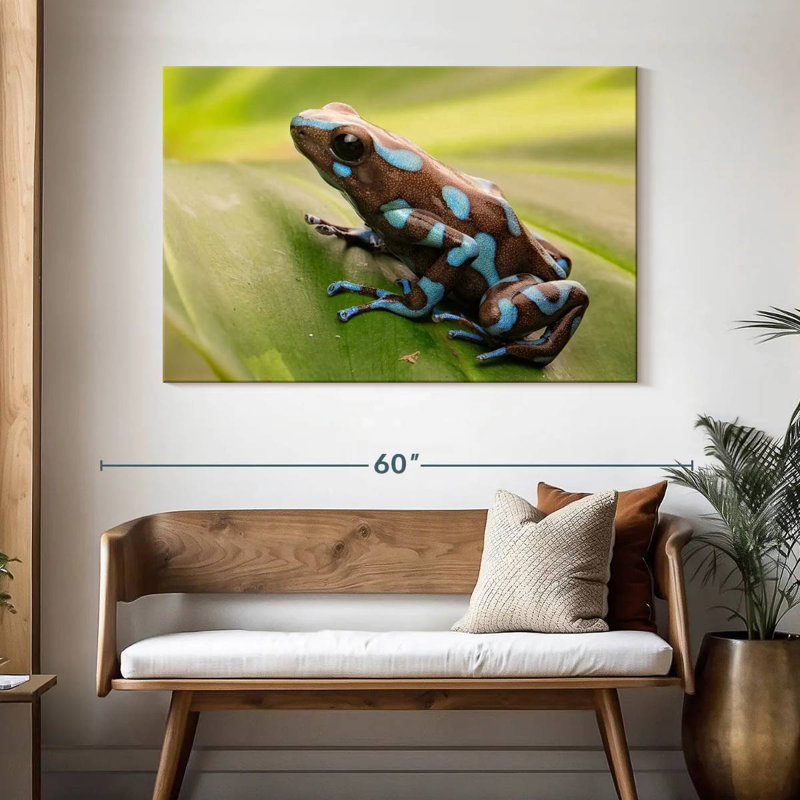 Brampt Exotic Dart Frog, 32" H x 48" W