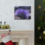 No Frame Print on Canvas