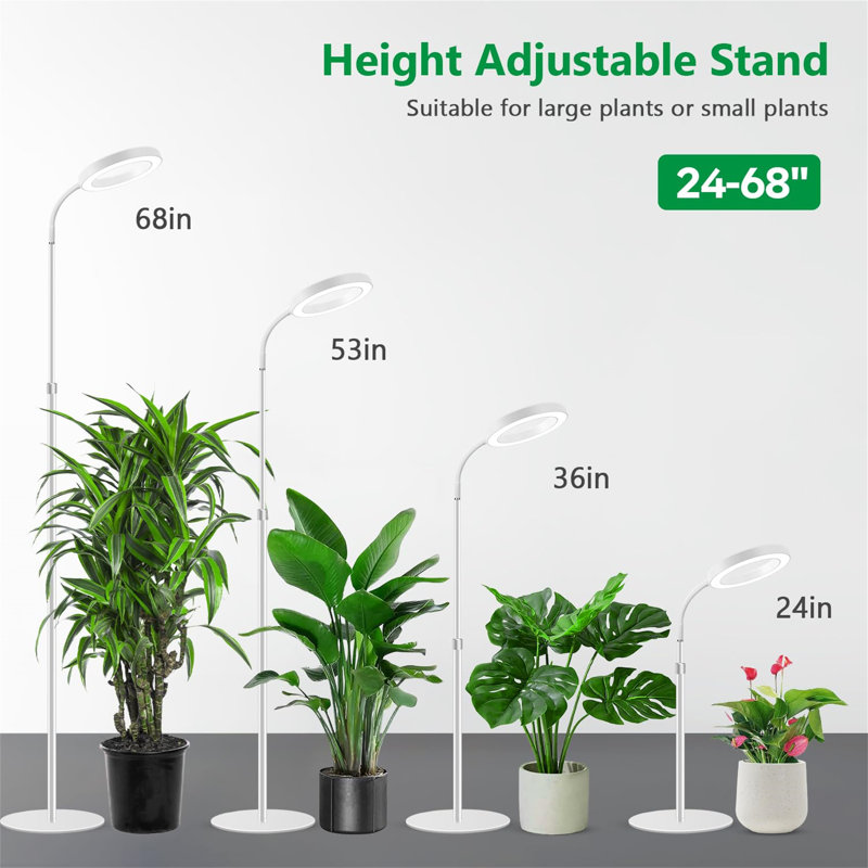Naomi Grow Light