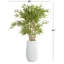 Feuillage artificiel Caelan-1853820868