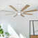 Darita 76"  8-Blade LED Standard Ceiling Fan with Remote Control